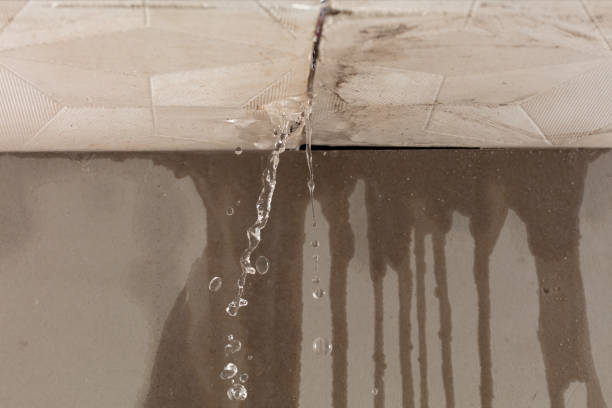 Professional Structural Drying technician working in Norridgewock, ME
